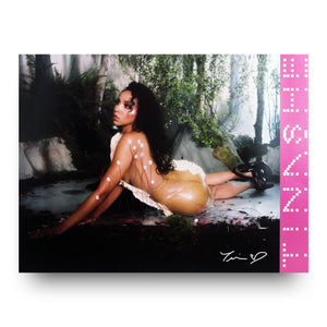 image of a cardstock poster of tinashe laying outside by rocks, nude with wires connected to her